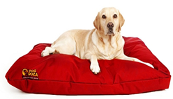 Dog Doza High Loft Fibre Cushion