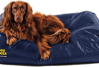 Dog Doza Active Crumb Memory Foam Mattress